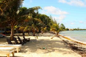 Beach in Belize with chairs and palm trees – Best Places In The World To Retire – International Living